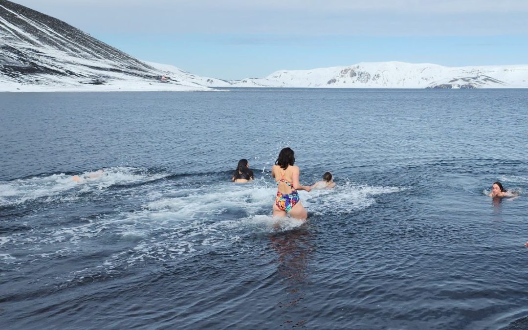 The Polar Plunge!