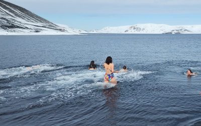 The Polar Plunge!