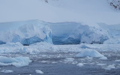 Voices in the Antarctic Storm: Navigating Challenges on a Journey of Discovery