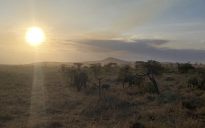 Reflections from Tanzania